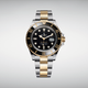 Rolex Oyster Perpetual Sea-Dweller.